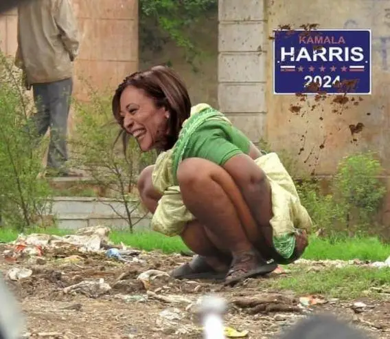 kam taking a shit.webp