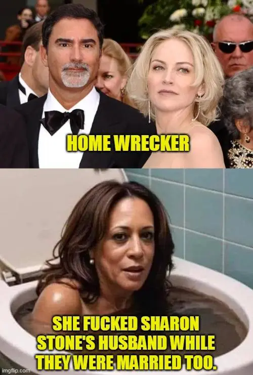 kam toilet home wrecker.webp