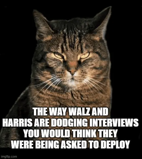 kam walz deploy.webp