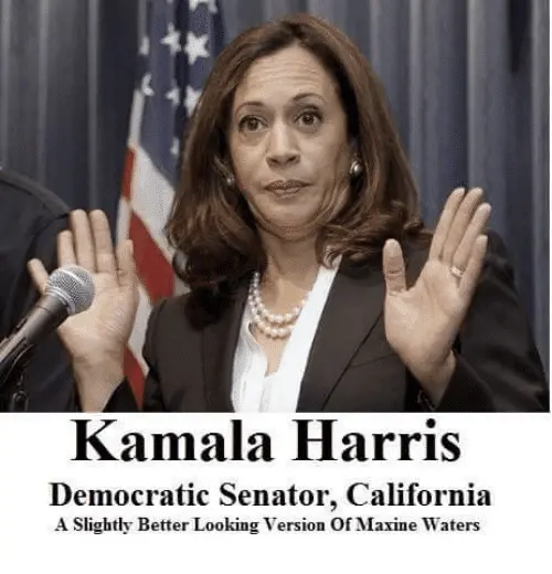 kamala-harris-democratic-senator-california-a-slightly-better-looking-version-22864453.webp