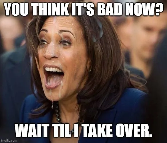 kamala just wait.webp