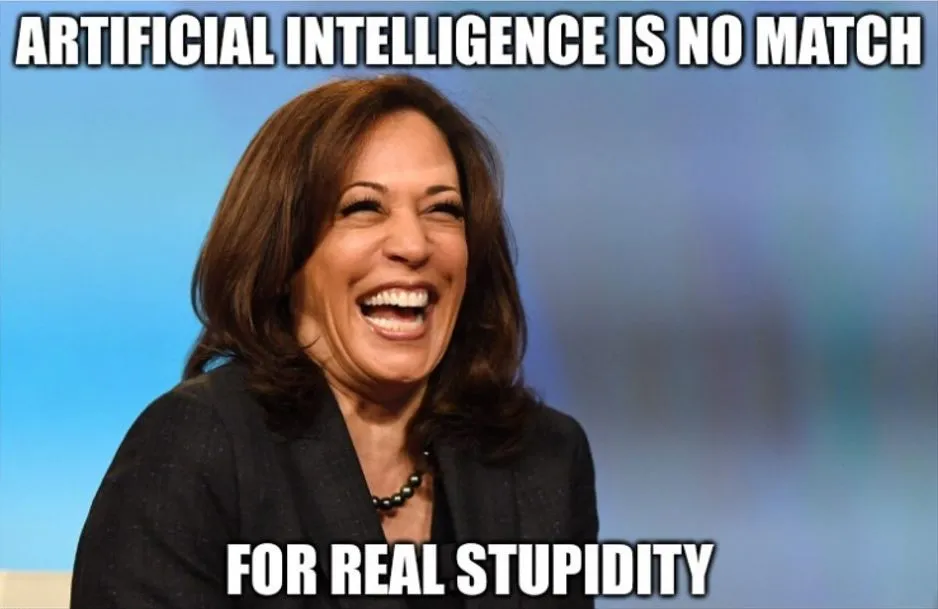 kamala no-match.webp