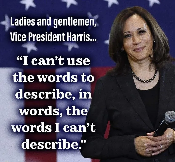 kamalaharrisisdumbcceghytrddwsc.webp