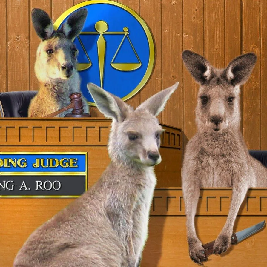 kangaroo court 3.webp