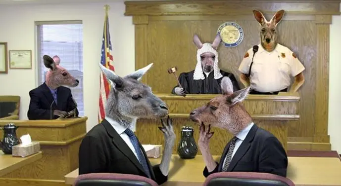kangaroo court.webp