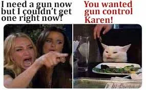 karen cat.webp