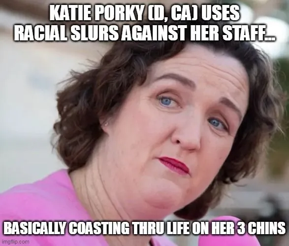 katie porter nasty ****.webp
