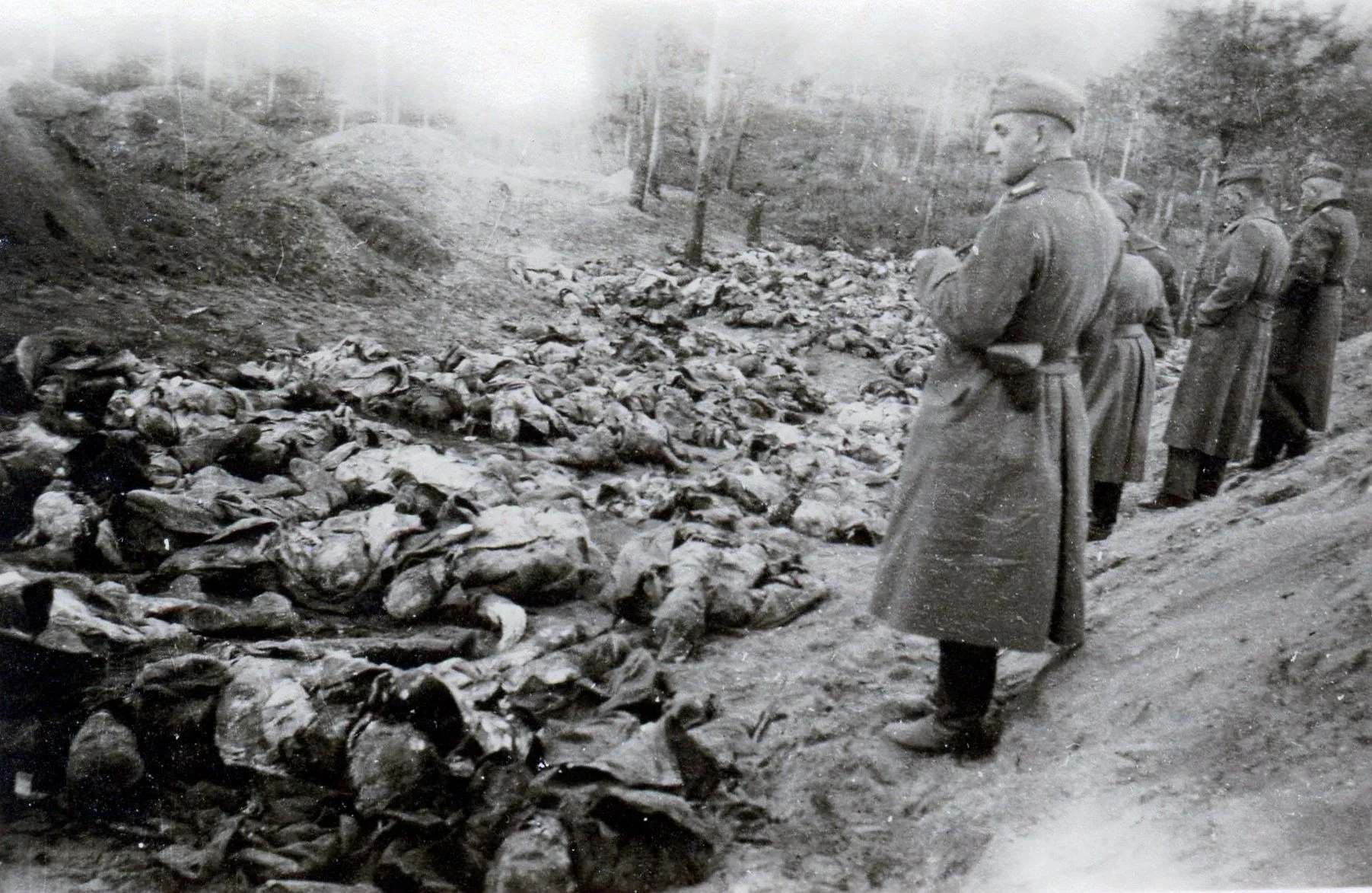 katyn-forest.webp