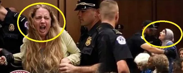 kavanuagh mob 2.webp