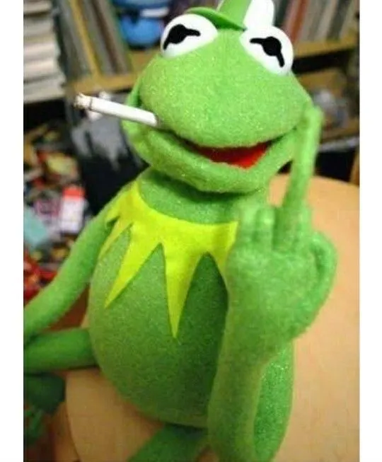 kermitthefrogajsaskjdhak.webp