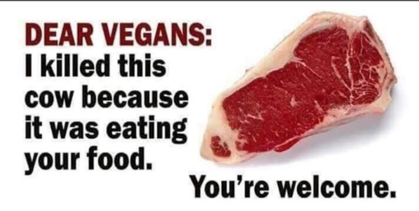 Killed-cow-for-Vegans.webp