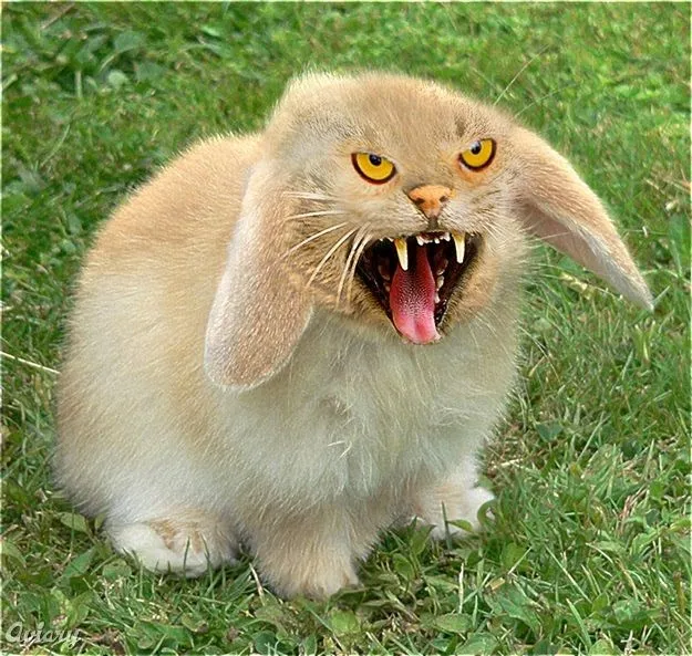killer bunny.webp