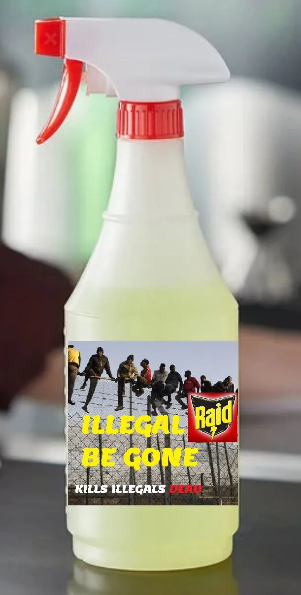 Kills Illegals Dead.webp