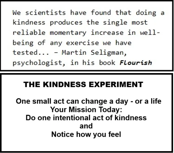 KINDNESS EXPERIMENT CARD.webp