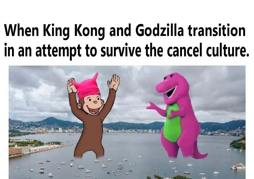 king kong and godzilla.webp