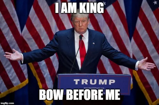 King Shit no Shit King.webp