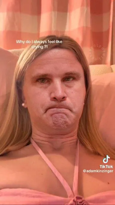 kinzinger crybaby ****.webp