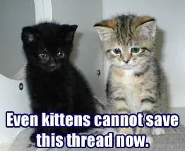 kittenssave.webp