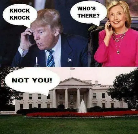 KnockKnock.webp