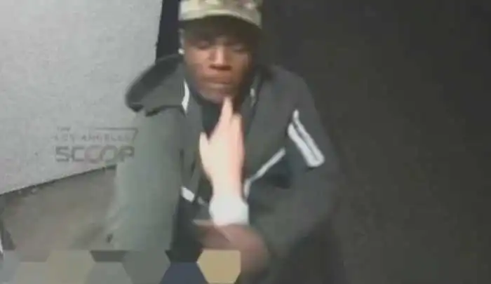LA-Free-Palestine-attacker.webp