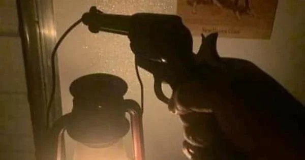 Lantern on a Colt Funny.webp