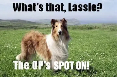 lassie 1.webp