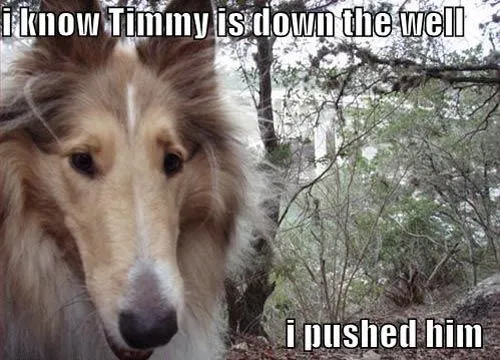 lassie-pushed-timmy-down-the-well.webp