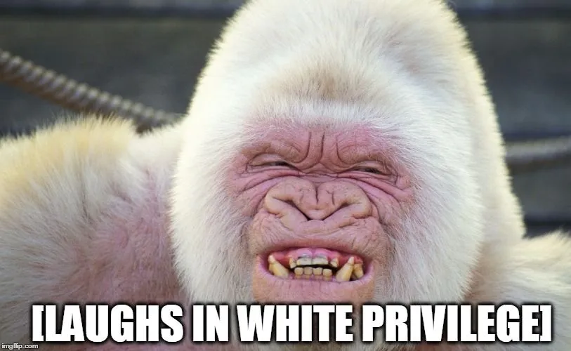 laughs in white priviledge 2.webp