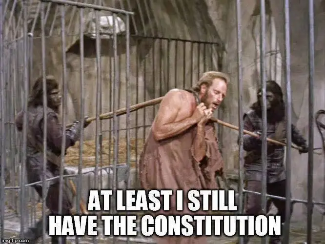 LeastIhabsConstitution.jpg
