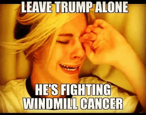 leave-trump-alone-hes-fighting-windmill-cancer-47930622.webp