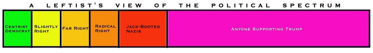 left political spectrum.webp