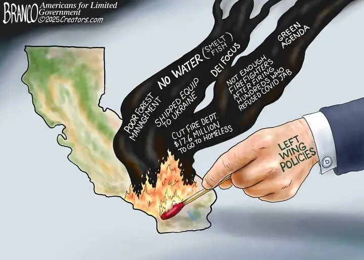 LEFT WING POLICIES.webp