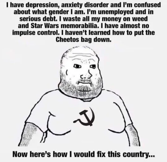 leftists heres how id fix this country.webp