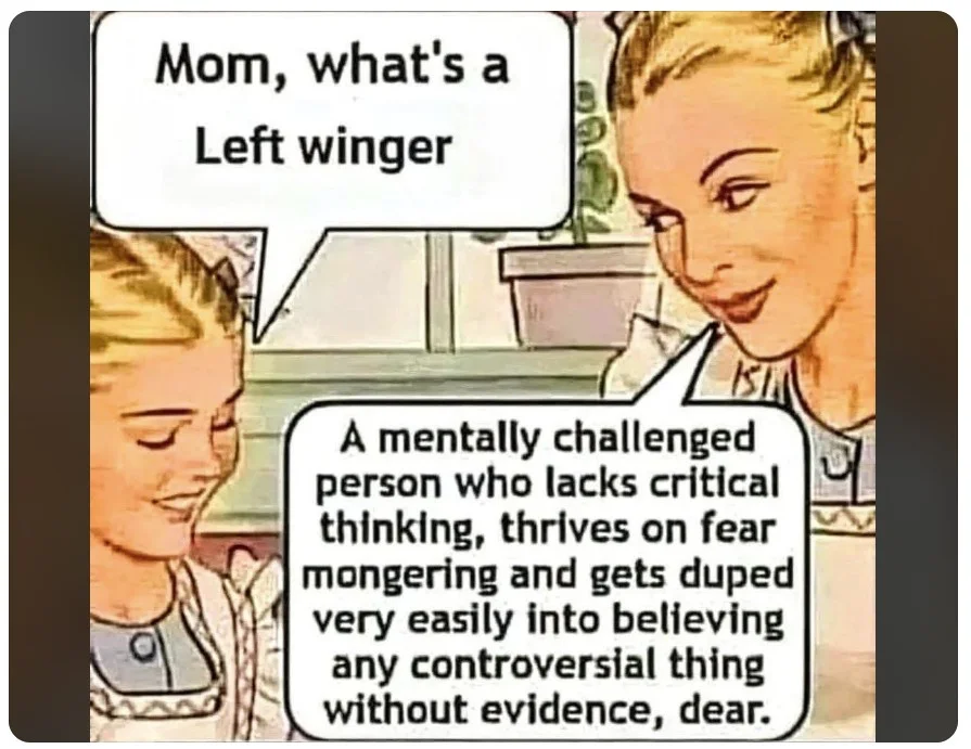 leftwingersaredumbhghjdjd.webp