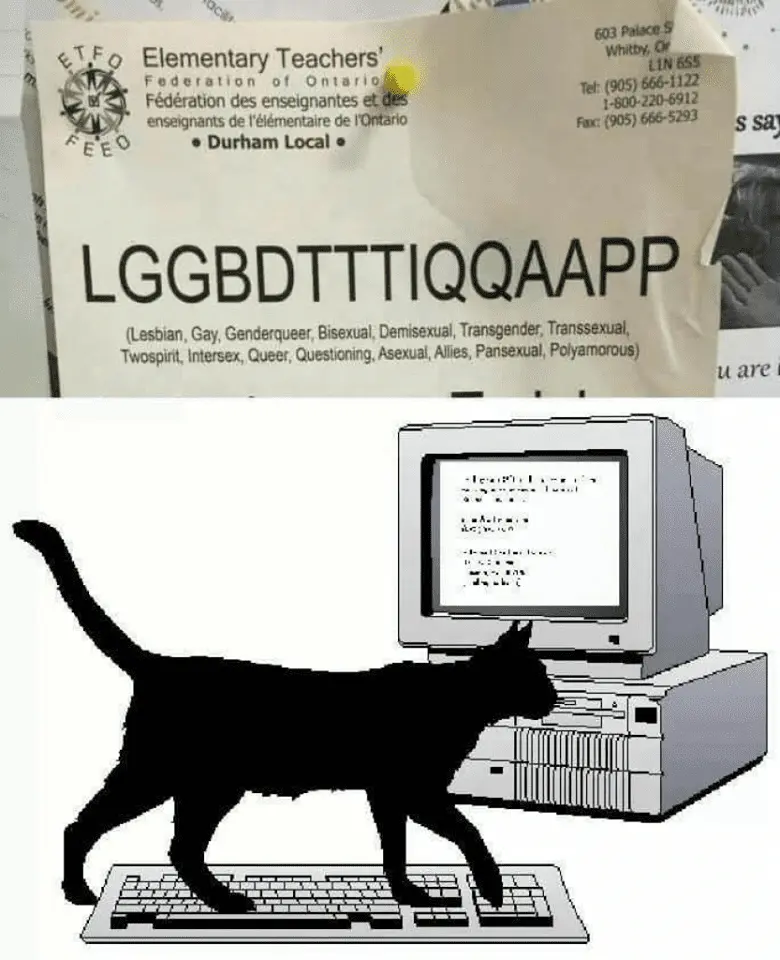 lgbt2.webp