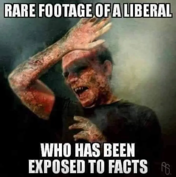 lib facts.webp