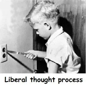 Lib Thought Process.webp