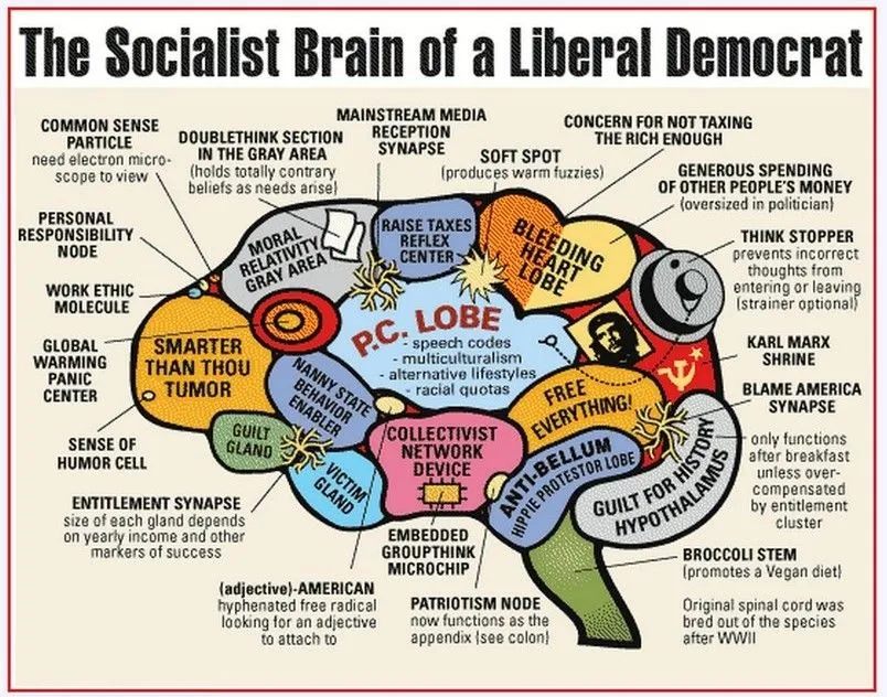 liberal-brain.webp