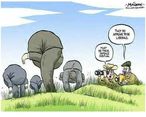 Liberal Defense Mechanisim.JPG