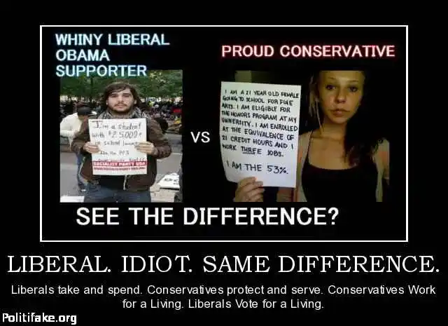 liberal-idiot-same-difference-vik-battaile-politics-1355697369.webp