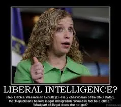 liberal idiot.webp