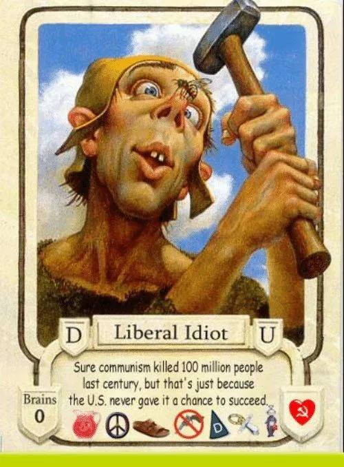 liberal idiot.webp