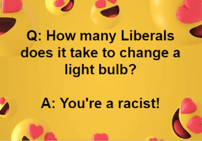 Liberal light bulb joke.webp