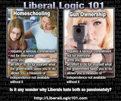 liberal-logic-101-310.webp