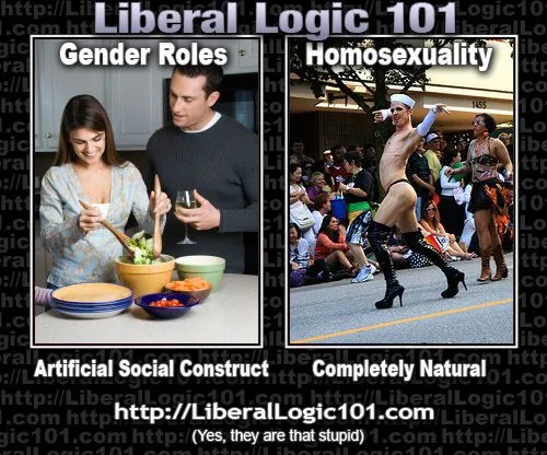 liberal-logic-101-336.webp