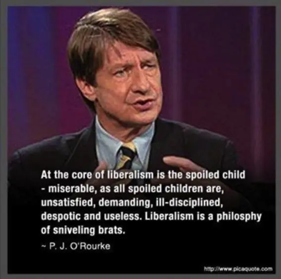 Liberal losers O'Rourke.webp