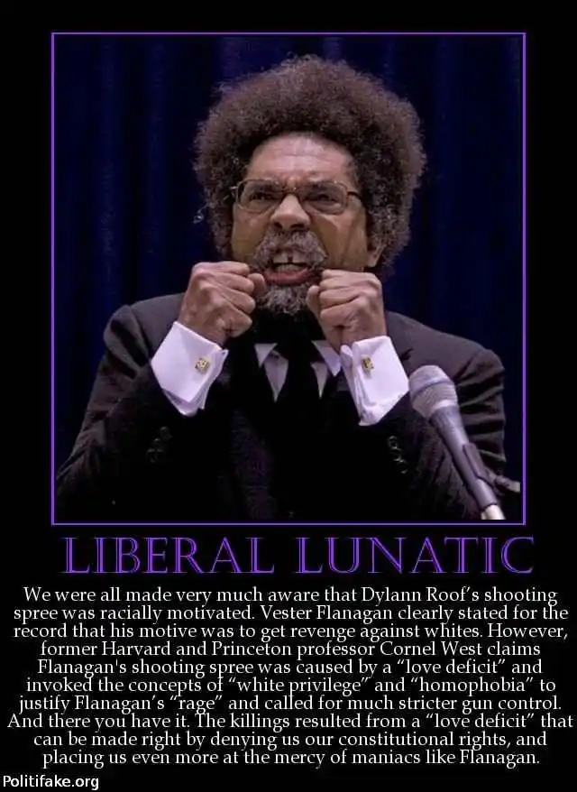 liberal-lunatic-were-all-made-very-much-aware-that-dylann-ro-politics-1440814862.webp