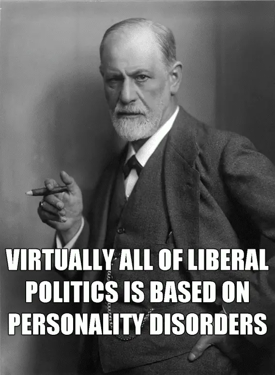 liberal personality disorders.webp