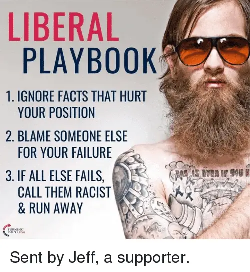 liberal-playbook-1-ignore-facts-that-hurt-your-position-2-5254180.webp