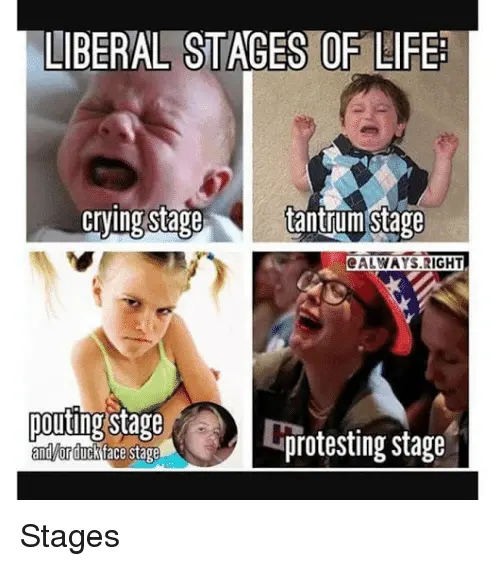 liberal-stages-of-lifedgfdgddtudjy.webp